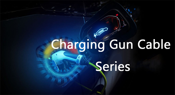 Charging Gun Cable Series